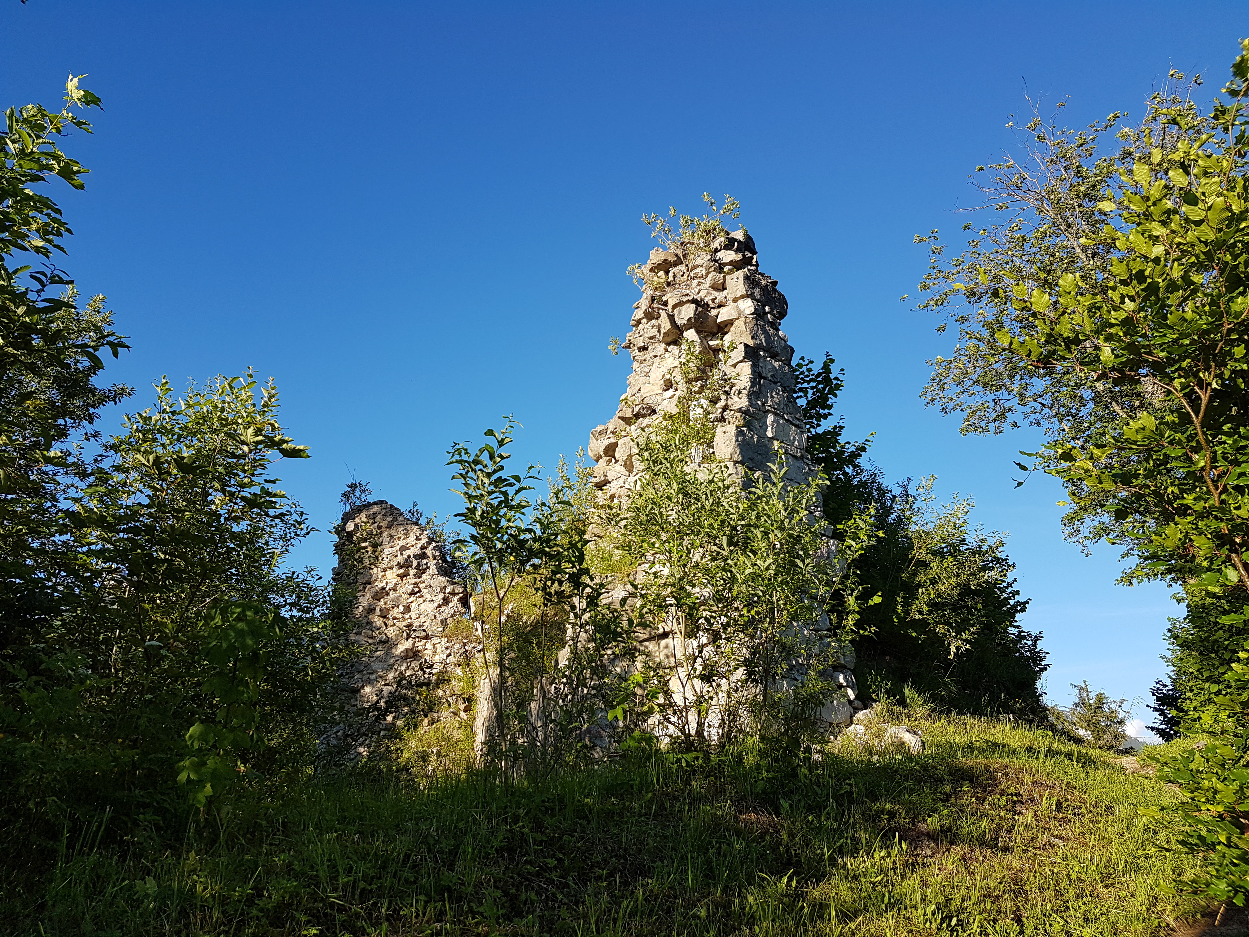 Ruine Pflinberg 2016